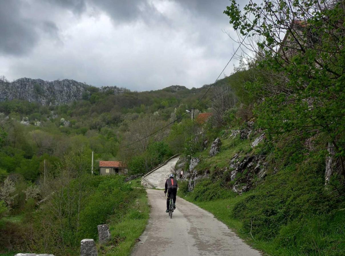 Konak Ugnji-Village Cetinje Exterior foto