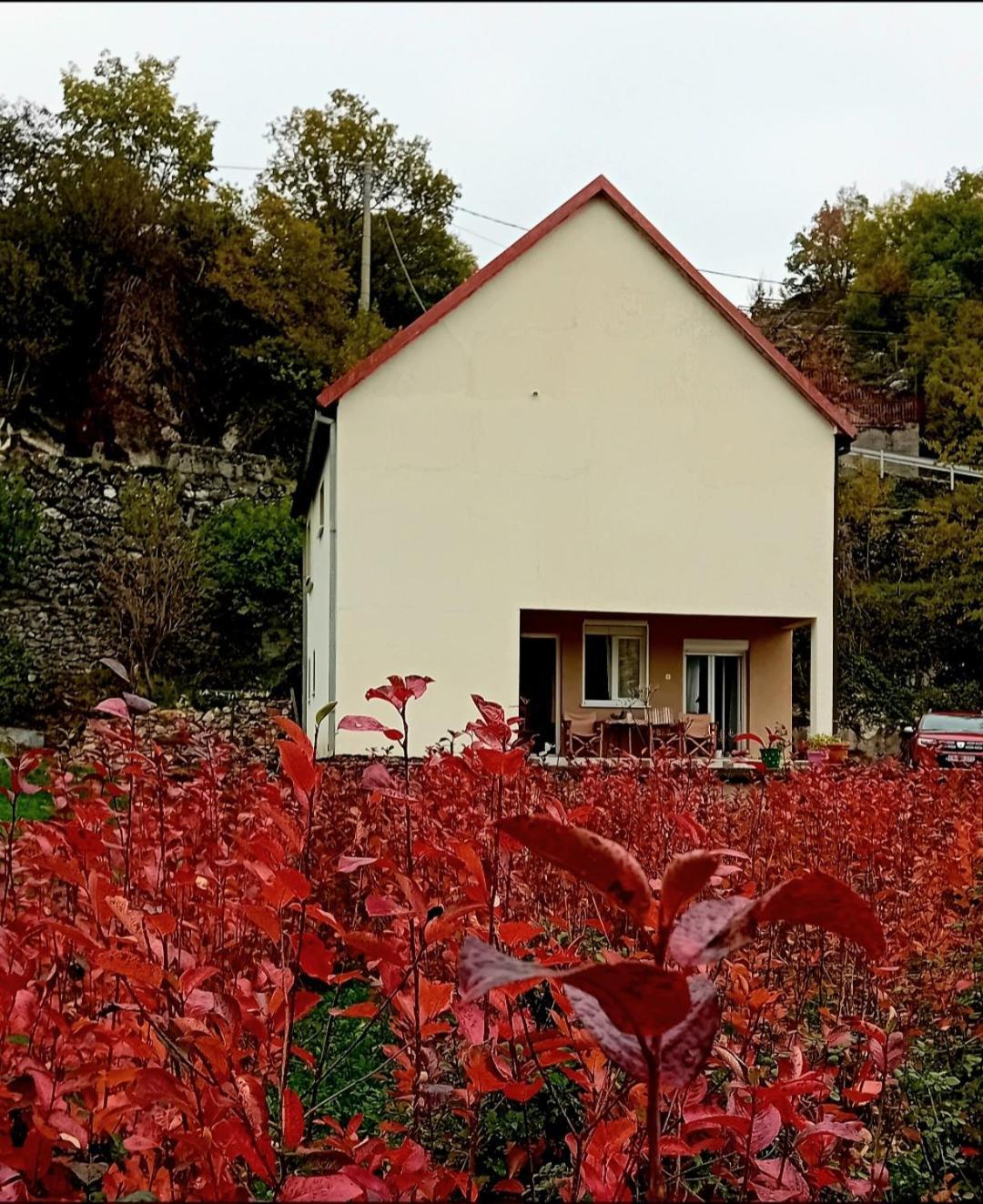 Konak Ugnji-Village Cetinje Exterior foto
